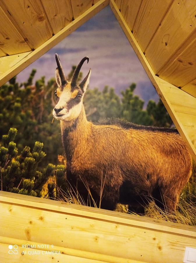 Noclegi U Gabrysi Kościelisko Exteriör bild